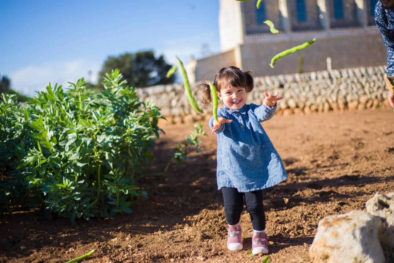 Llucmacanes Gran Agroturismo Μαό Εξωτερικό φωτογραφία