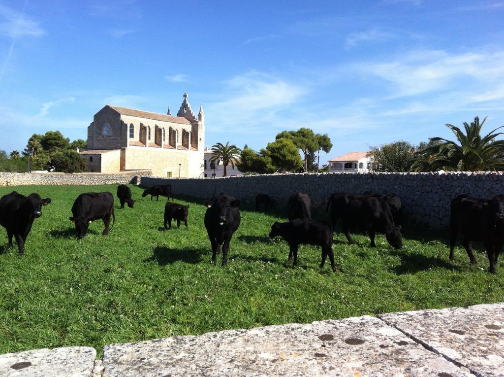 Llucmacanes Gran Agroturismo Μαό Εξωτερικό φωτογραφία