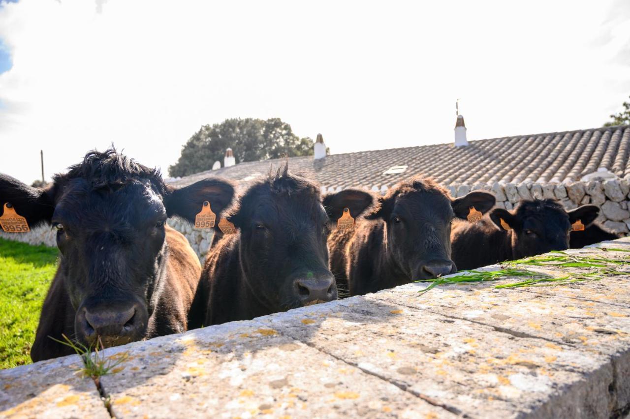 Llucmacanes Gran Agroturismo Μαό Εξωτερικό φωτογραφία