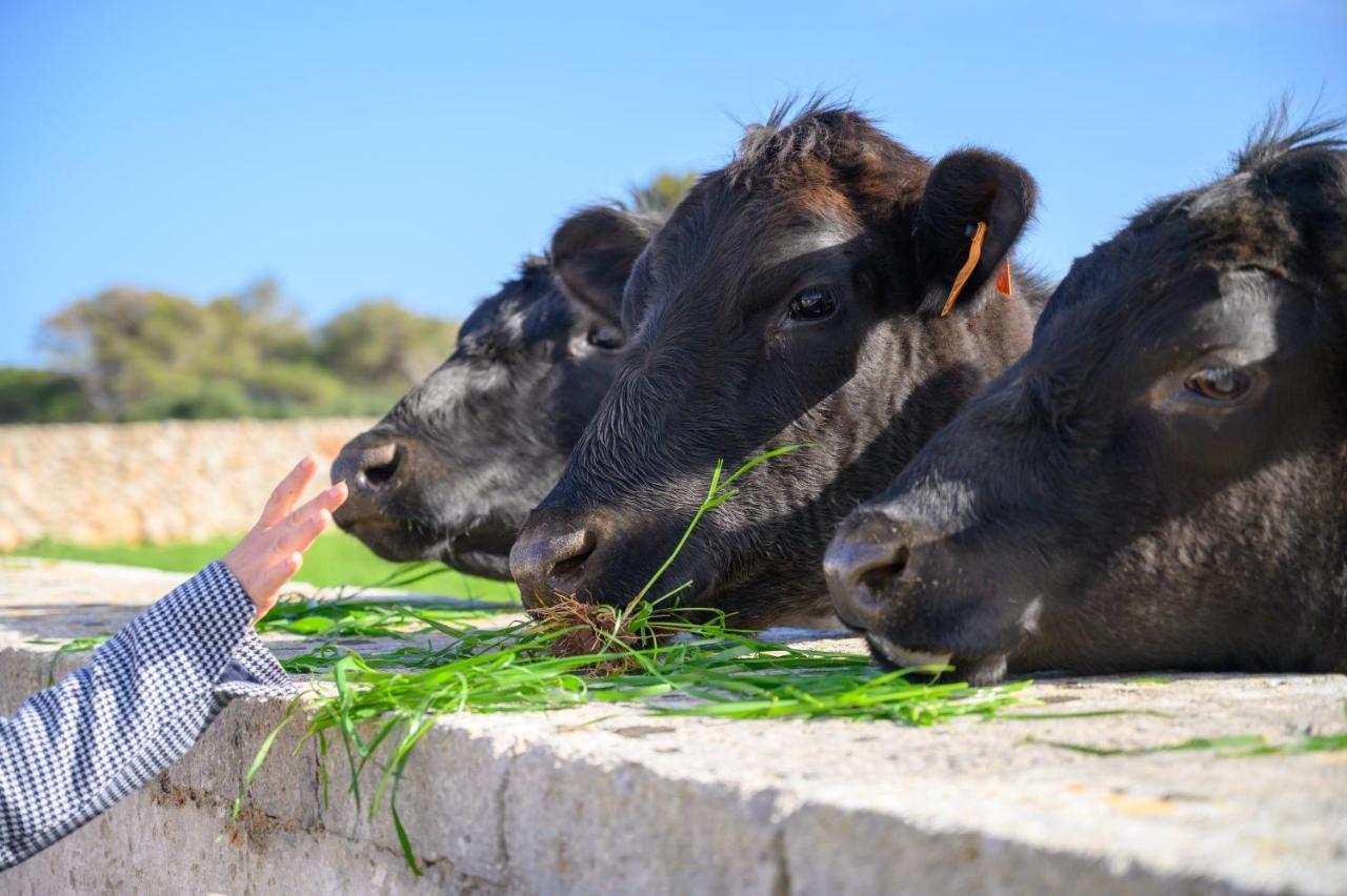 Llucmacanes Gran Agroturismo Μαό Εξωτερικό φωτογραφία